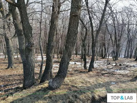 Участок, 10 соток