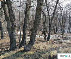 Участок, 10 соток