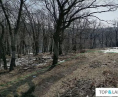 Участок, 10 соток