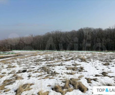 Участок, 10 соток
