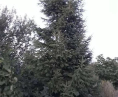 Участок, 14 соток