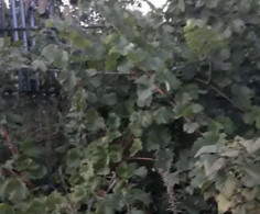 Участок, 14 соток