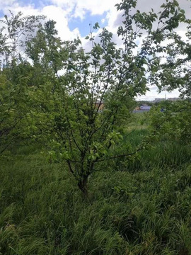 Участок, 6 соток