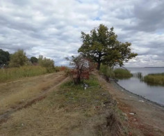 Участок, 15 соток