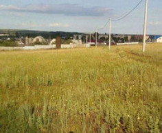 Участок, 19 соток