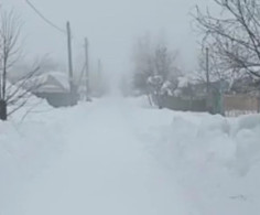 Участок, 28 соток