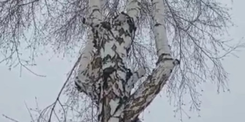 Участок, 28 соток