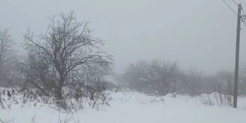 Участок, 28 соток