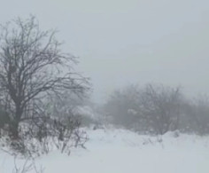Участок, 28 соток