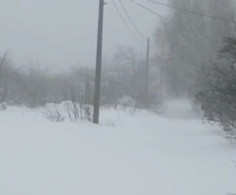 Участок, 28 соток