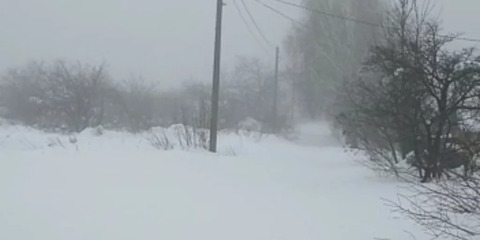 Участок, 28 соток