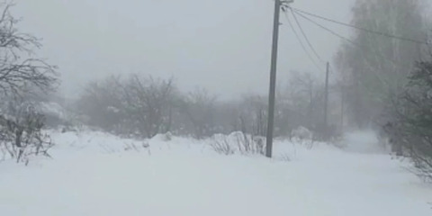 Участок, 28 соток