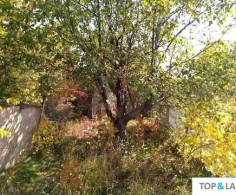 Участок, 6 соток