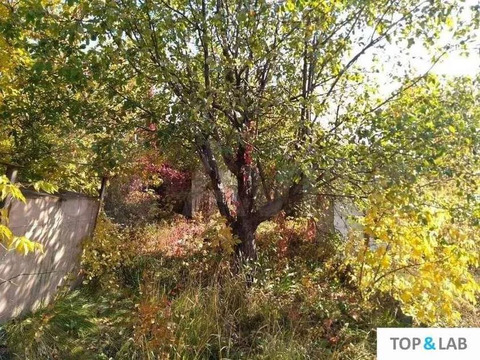 Участок, 6 соток