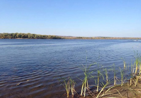 Участок, 12 соток