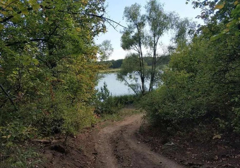 Участок, 73 сотки