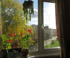 Квартира, 3 этажа
