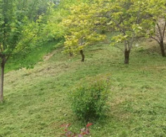 Участок, 20 соток
