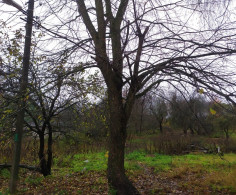 Участок, 14 соток