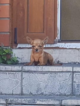 Дом, 2 этажа