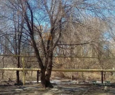 Участок, 67 соток