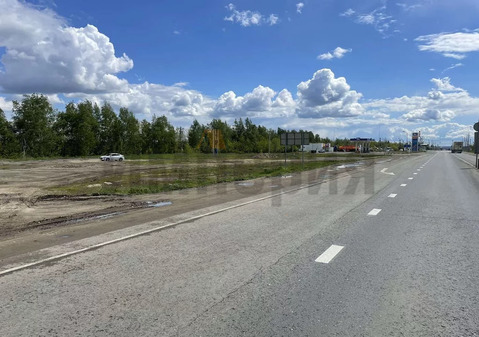 Участок, 41 сотка