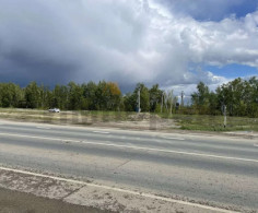Участок, 41 сотка