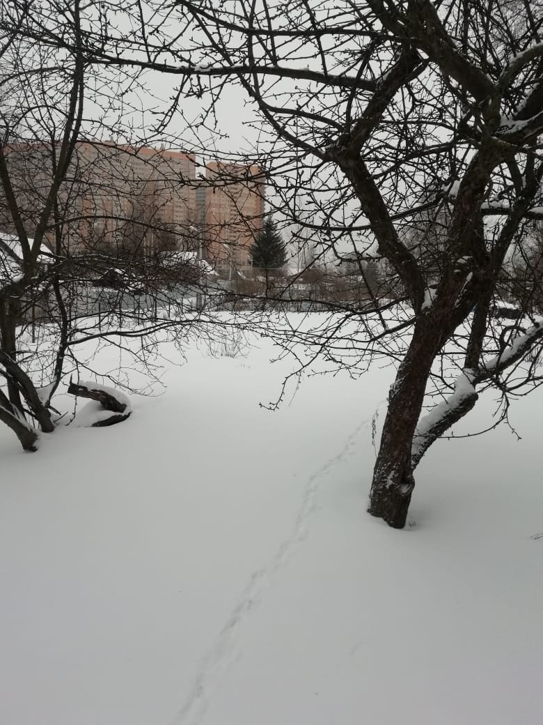 Участок, 19 соток