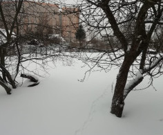 Участок, 19 соток