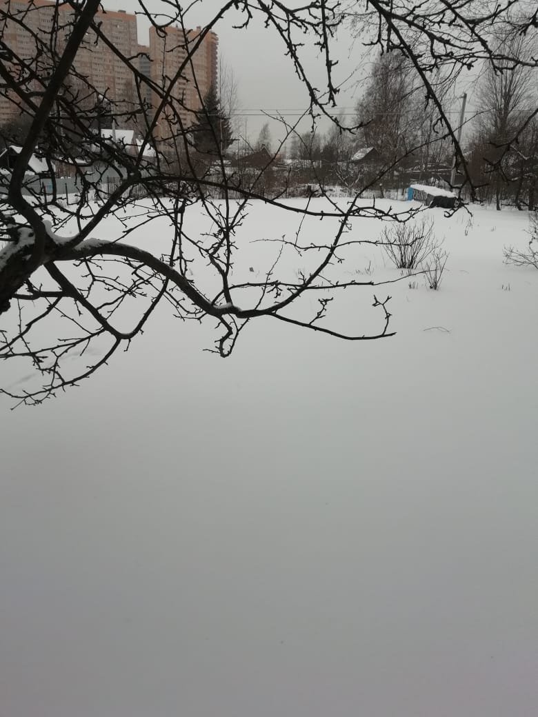 Участок, 19 соток