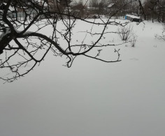 Участок, 19 соток