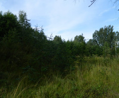 Участок, 15 соток