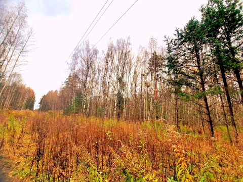 Участок, 40 соток