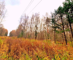 Участок, 40 соток