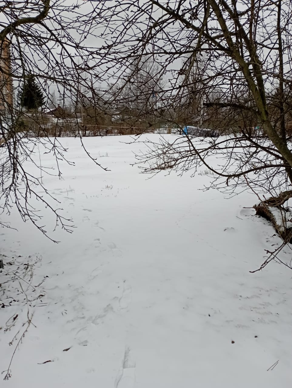 Участок, 19 соток