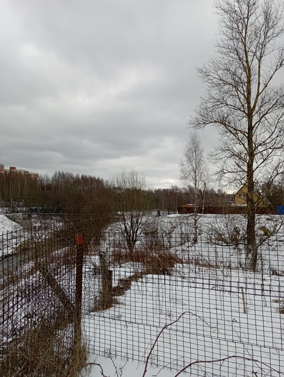 Участок, 19 соток
