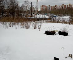 Участок, 19 соток