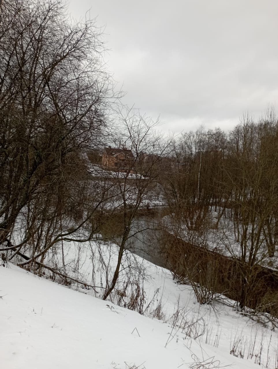 Участок, 19 соток