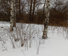 Участок, 19 соток