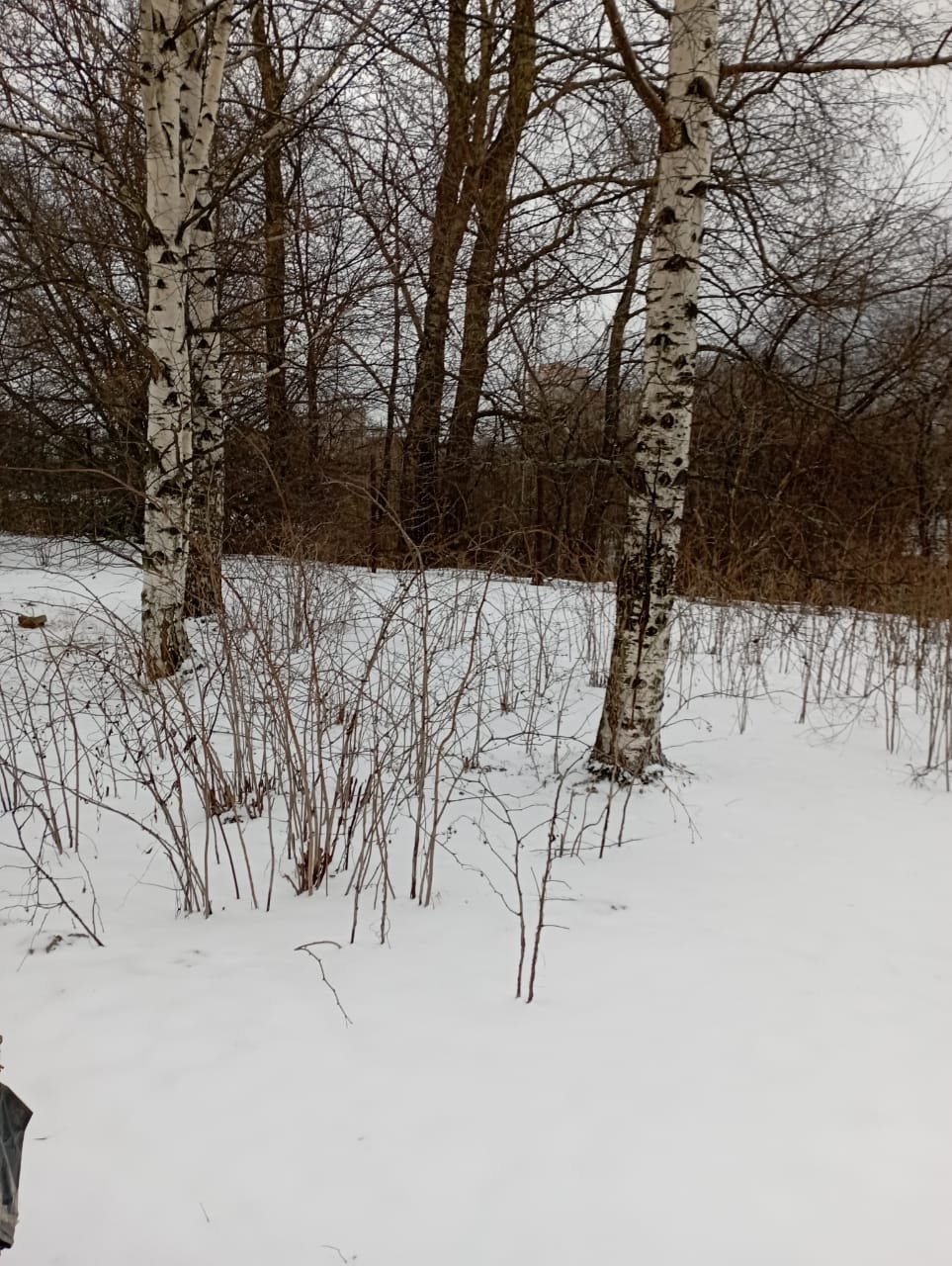 Участок, 19 соток