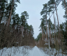 Дом