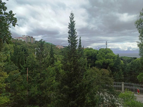Участок, 8 соток