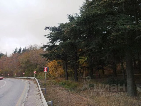 Участок, 50 соток