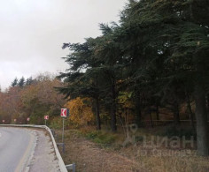 Участок, 50 соток