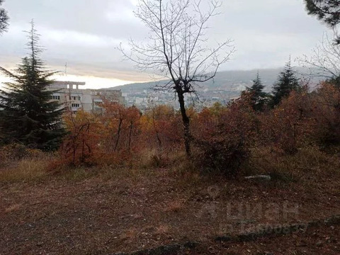 Участок, 50 соток