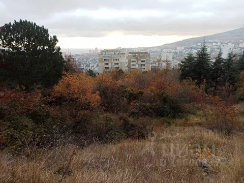 Участок, 50 соток