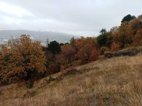 Участок, 50 соток