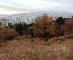 Участок, 50 соток