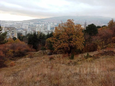 Участок, 50 соток