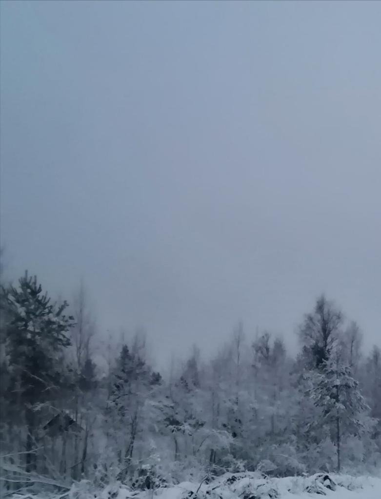Участок, 9 соток